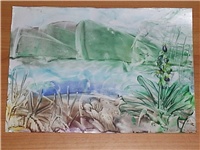 81d87e53-Picture 001.jpg